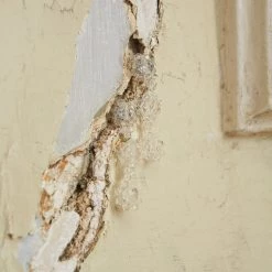 Jaded London Blossom Earrings In Clear Resin