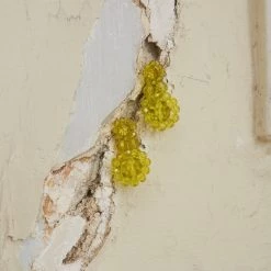 Jaded London Blossom Earrings In Lovebird Resin Accessories